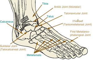 foot and ankle arthritis nyc podiatrist foot doctor 